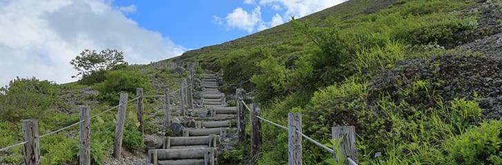 人はどのように成長し続けるのか―熟達化研究からの考察