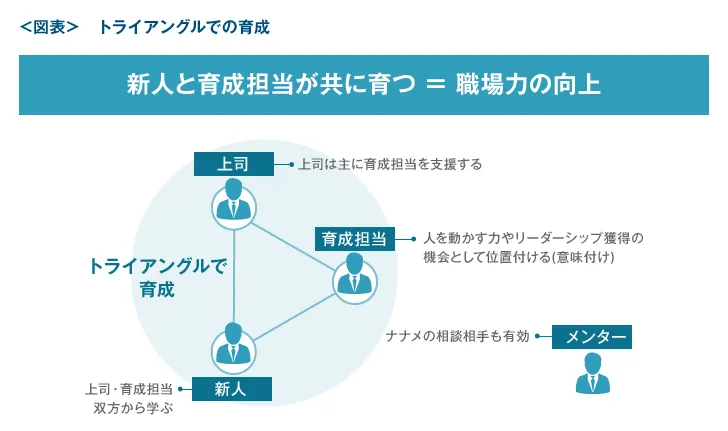 トライアングルでの育成