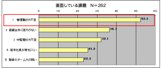 直面している課題 N=262