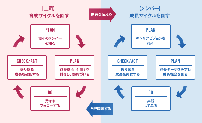 図表2：上司の「育成サイクル」と、メンバーの「成長サイクル」