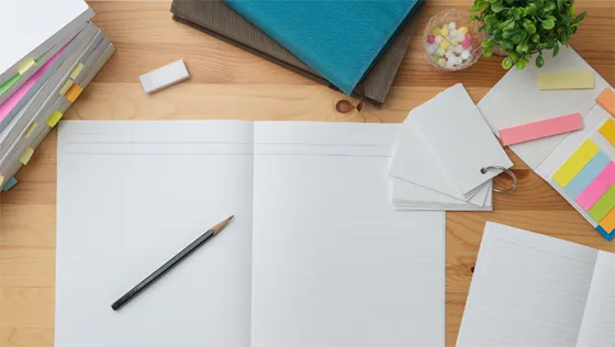 仕事におけるリフレクションの効果の探索的検討―2種類のリフレクションの影響プロセスに着目して―