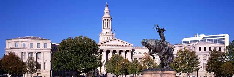 American Psychological Association （米国心理学会）2025参加報告