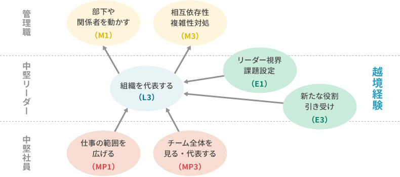 <図表2>中堅社員(MP)〜中堅リーダー(LP) 〜管理職(マネジャー前期)経験の連鎖