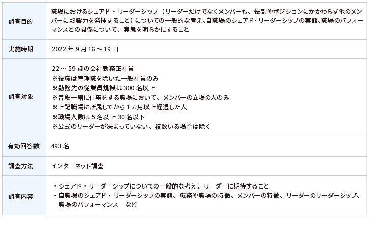調査概要の表