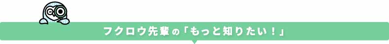 フクロウ先輩もっと知りたい