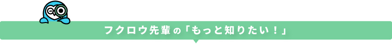 フクロウ先輩もっと知りたい