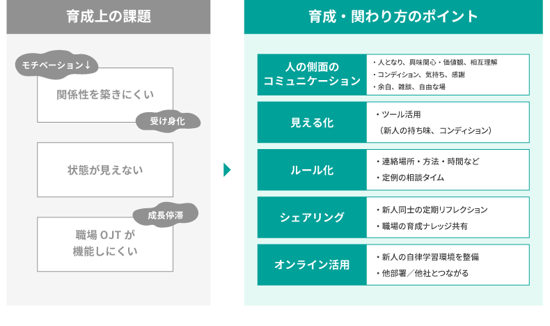 リモート環境での育成